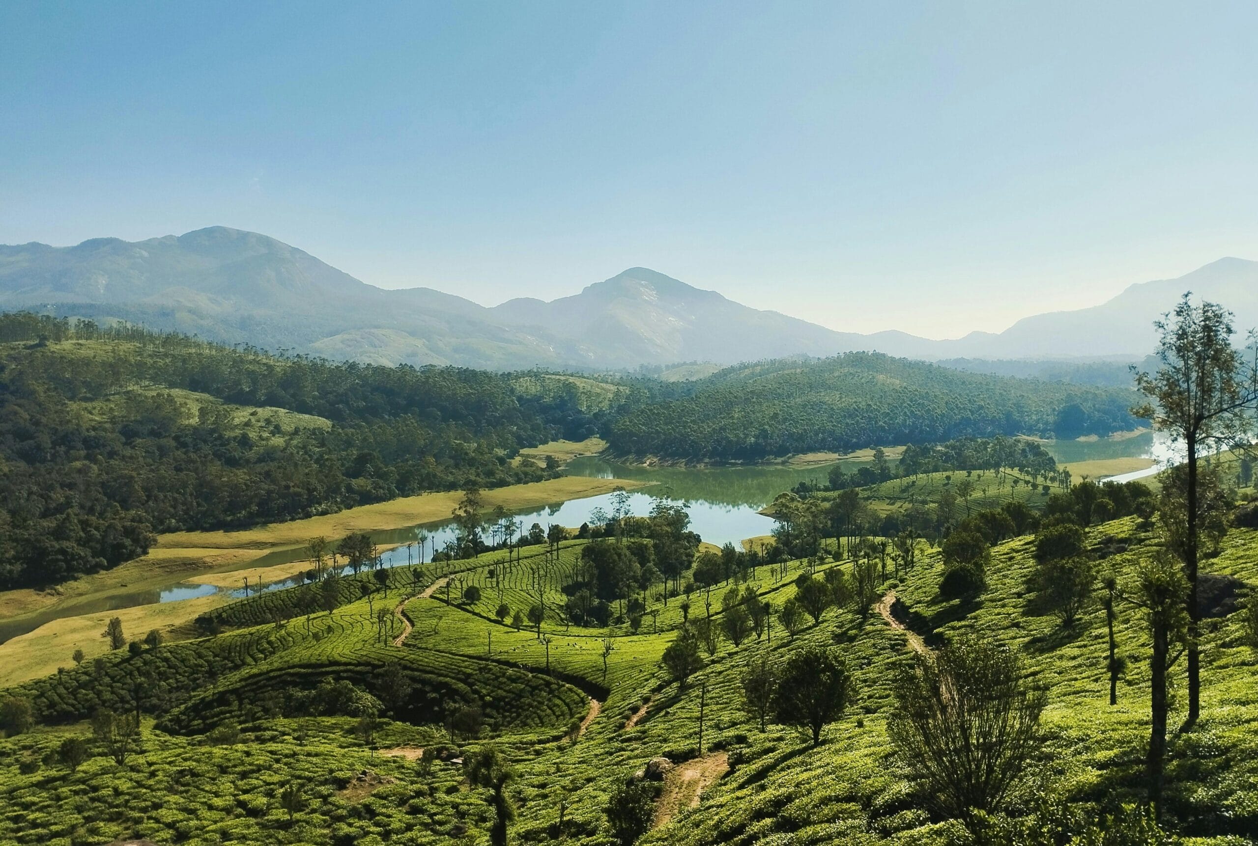 Munnar