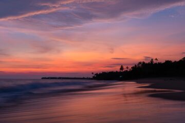 kerala beaches